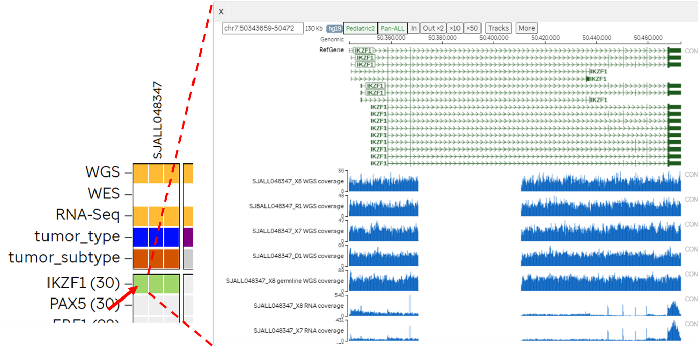 Genomic Coverage heatmap screenshot